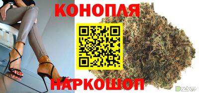 индика Краснознаменск