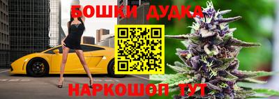 индика Краснознаменск