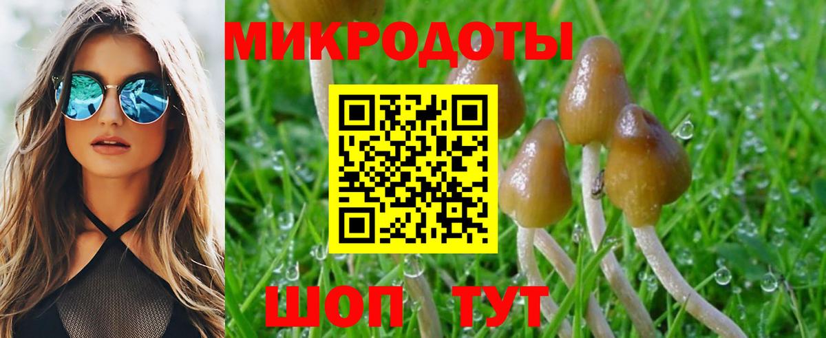 Псилоцибиновые грибы GOLDEN TEACHER Елабуга
