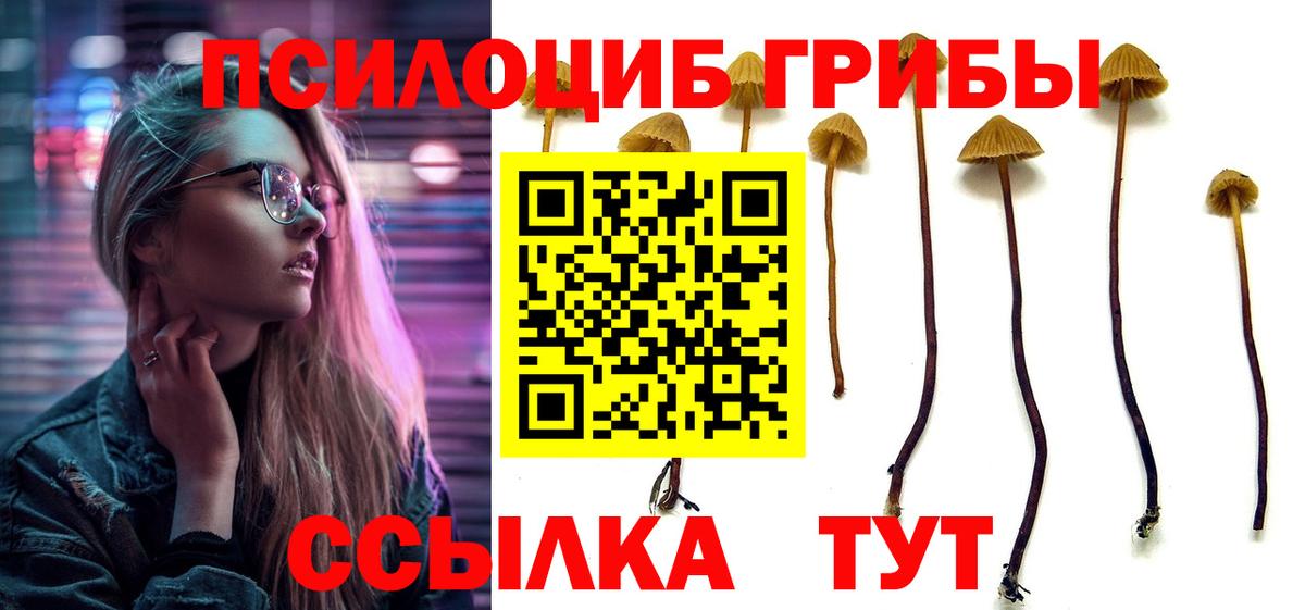 где найти   Галлюциногенные грибы ЛСД  Вход с VPN  Елабуга 